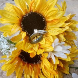 Meet your Posher, Sheila